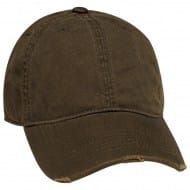 100-1021_olive.jpg