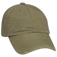 100-1022_olive.jpg
