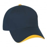 100-1046_navy_athgld.jpg