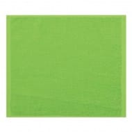 100-6080_lime.jpg