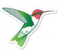 Hummingbird-MM