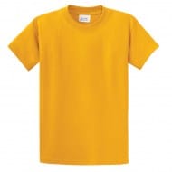 pc61_gold